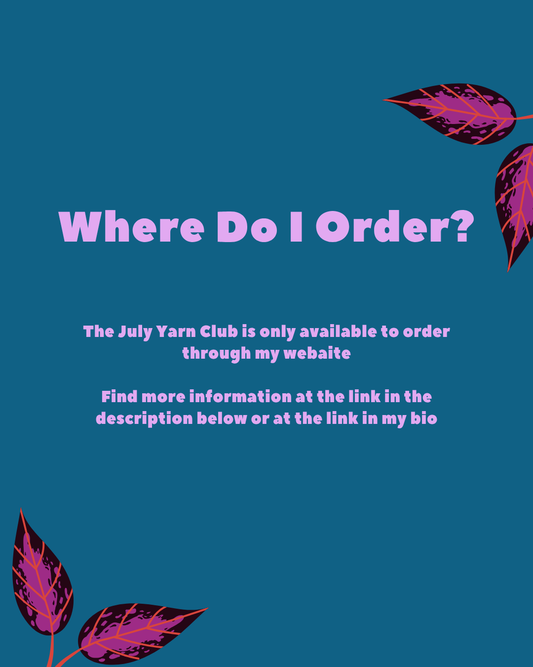 August Hand Dyed Yarn Club